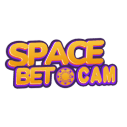 sudoku books will shortz
